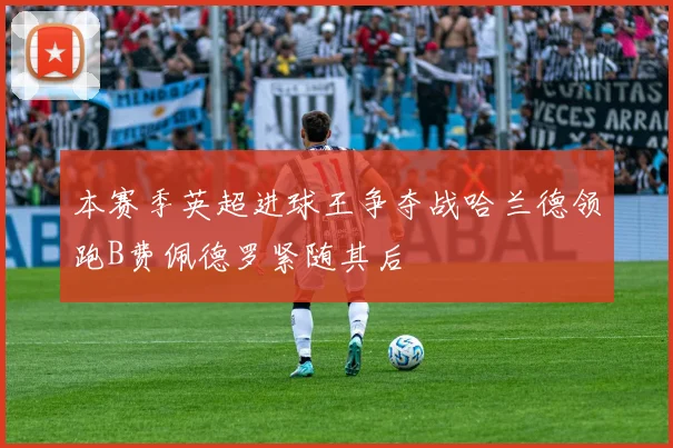 本赛季英超进球王争夺战哈兰德领跑B费佩德罗紧随其后